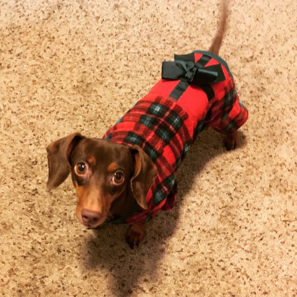 Meet your Posher, Laura - Picture 3 of 12